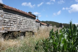 Grain stores